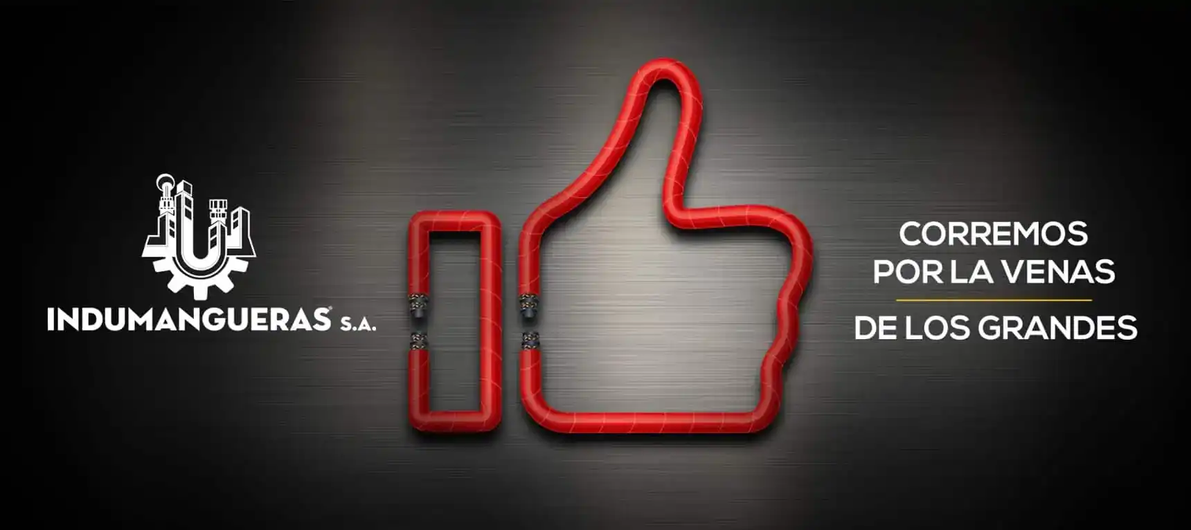 Corremos por las venas